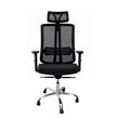 Ergonomic High-Back Mesh Office Chair